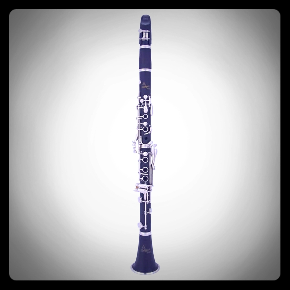 Antigua Vossi CL220 Clarinet Excellent Condition!